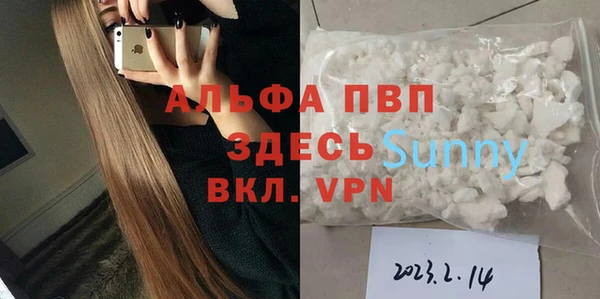 хмурый Кохма