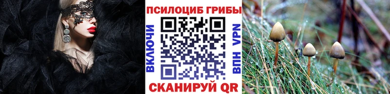 как найти закладки  Свободный  OMG зеркало  Галлюциногенные грибы прущие грибы 