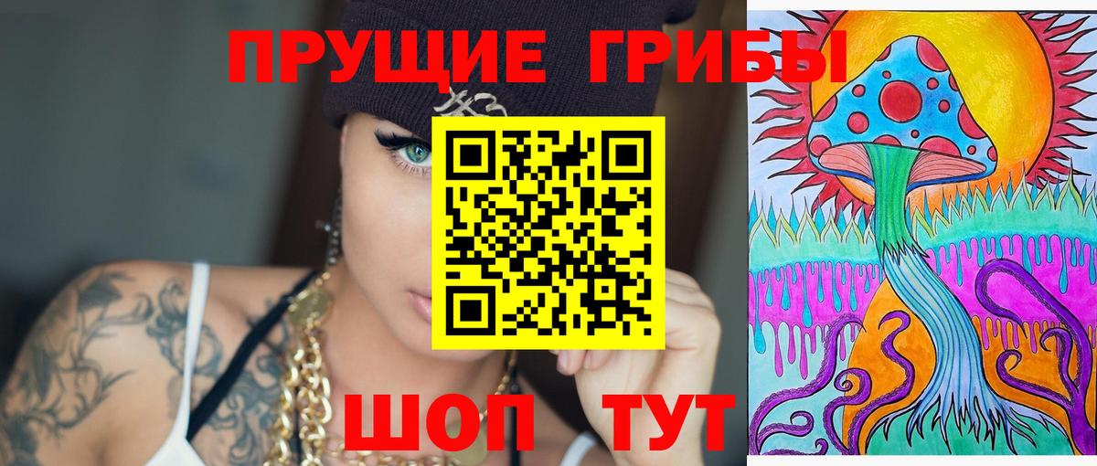 купить наркоту  Вход с VPN  Свободный  Псилоцибиновые грибы ЛСД 