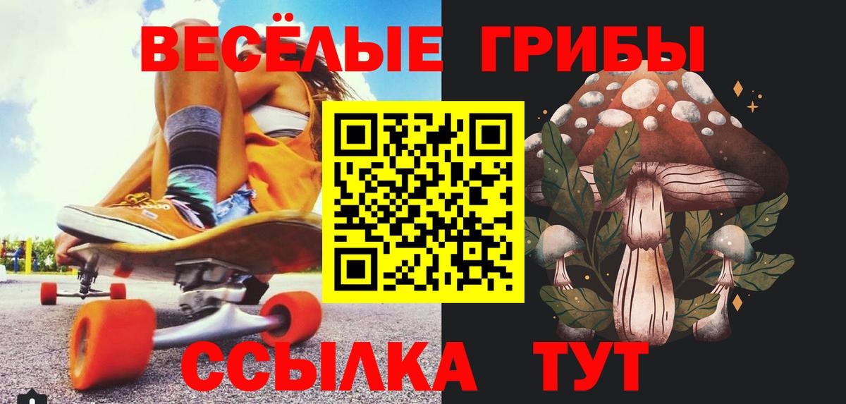 Галлюциногенные грибы ЛСД Свободный